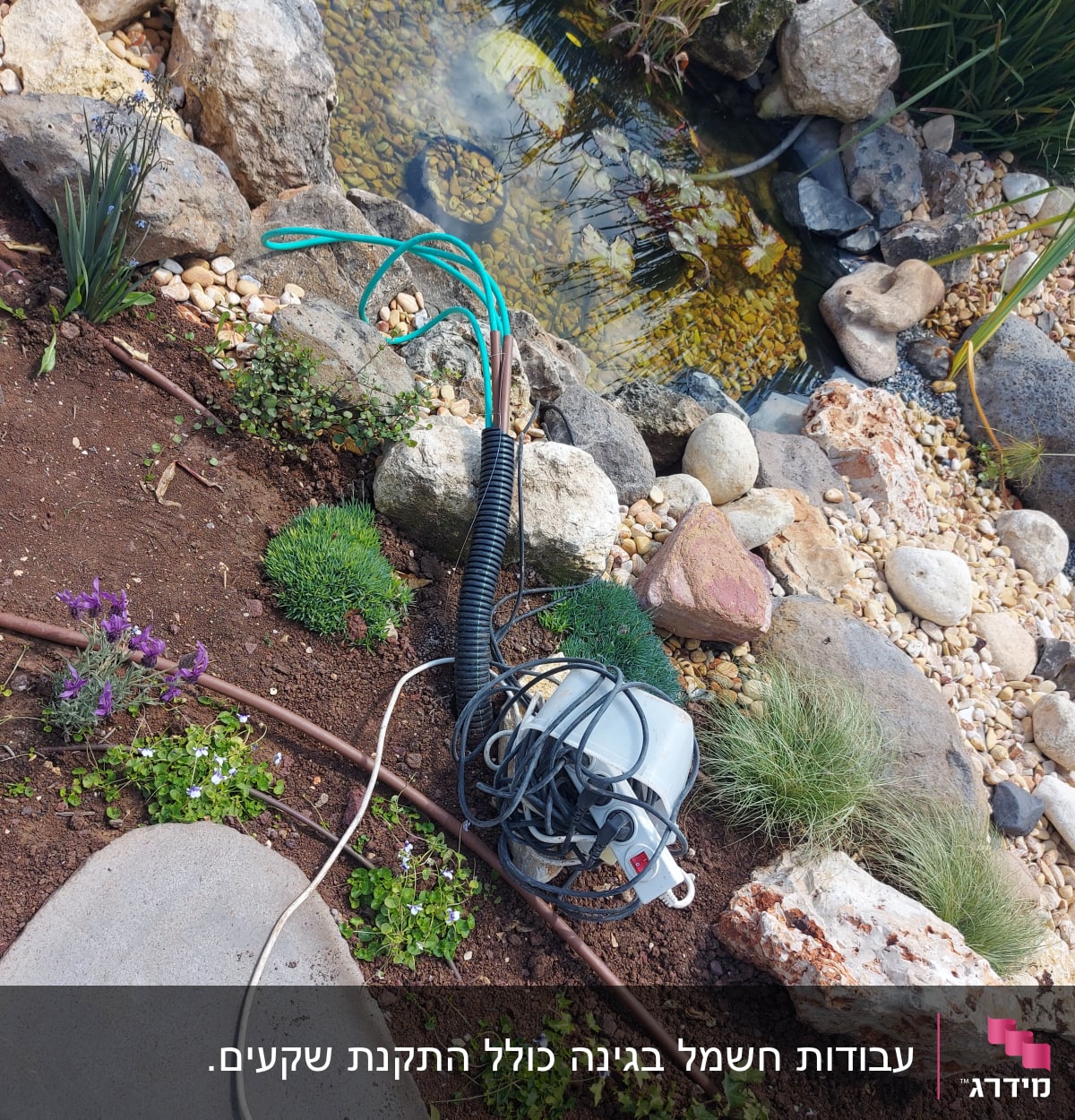 כבל חשמלי ומכשיר ליד בריכת דגים